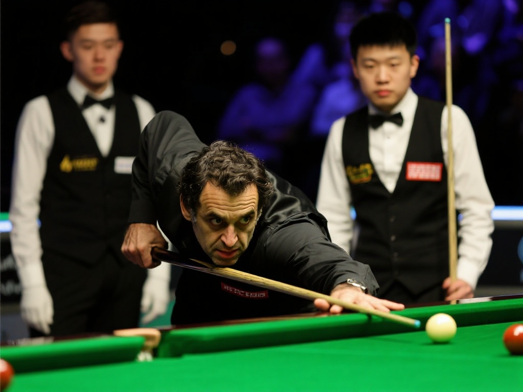 的安全性 的安全性